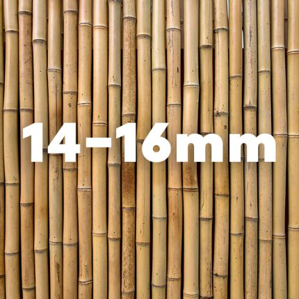 במבוק מושחל | קוטר קנה 14-16 מ״מ | גובה 2 מטר | אורכים שונים